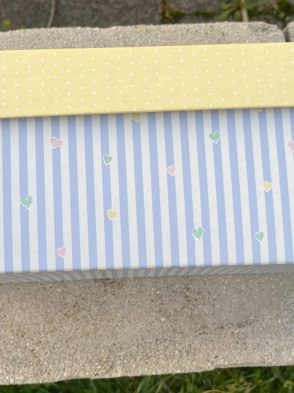 Bear Shoebox-Good Condition! - Picture 2 of 12